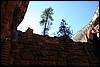 Zion NP Thanksgiving Family Reunion 2007-152.JPG