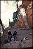 Zion NP Thanksgiving Family Reunion 2007-155.JPG