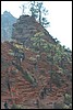 Zion NP Thanksgiving Family Reunion 2007-159.JPG