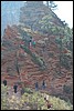 Zion NP Thanksgiving Family Reunion 2007-160.JPG
