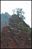 Zion NP Thanksgiving Family Reunion 2007-161.JPG
