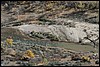 Zion NP Thanksgiving Family Reunion 2007-162.JPG