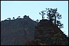 Zion NP Thanksgiving Family Reunion 2007-164.JPG