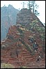 Zion NP Thanksgiving Family Reunion 2007-165.JPG