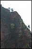Zion NP Thanksgiving Family Reunion 2007-167.JPG