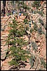 Zion NP Thanksgiving Family Reunion 2007-173.JPG