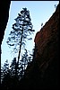 Zion NP Thanksgiving Family Reunion 2007-184.JPG