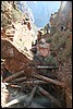 Zion NP Thanksgiving Family Reunion 2007-194.JPG