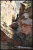 Zion NP Thanksgiving Family Reunion 2007-195.JPG