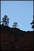 Zion NP Thanksgiving Family Reunion 2007-206.JPG